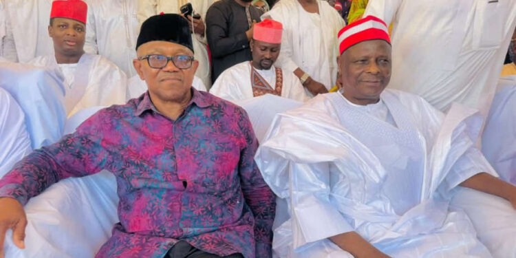We’re collaborating with Kwankwaso to get Nigeria back on track — Peter Obi